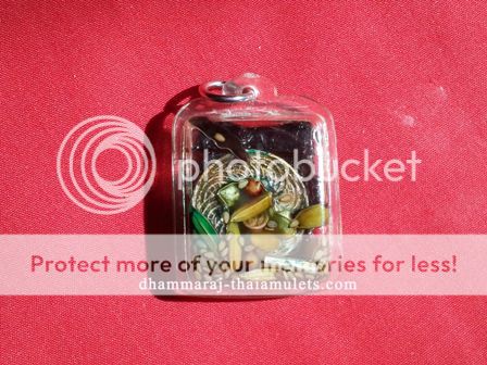 Authentic Thai Amulet Lpo06 Millionaire Cats Placenta Sold