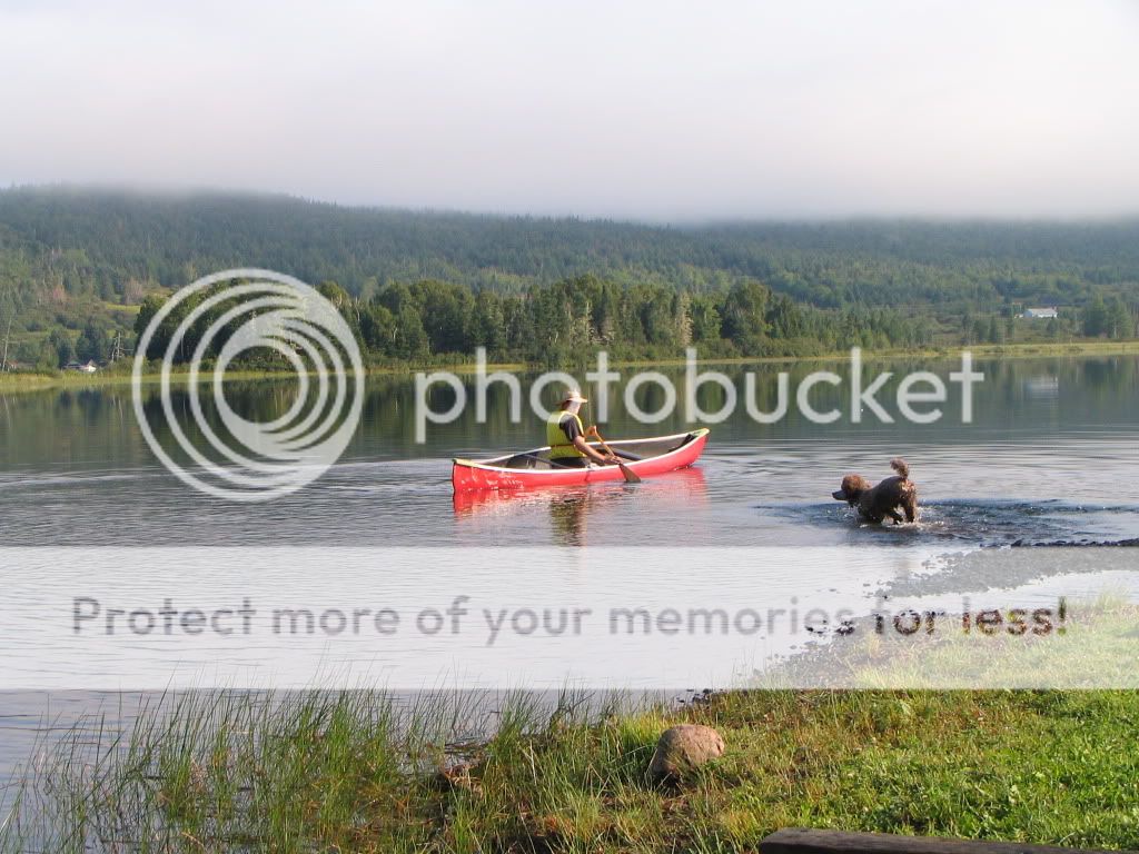A Little Canoeing On Cassidy Lake New Brunswick Bushcraft USA Forums