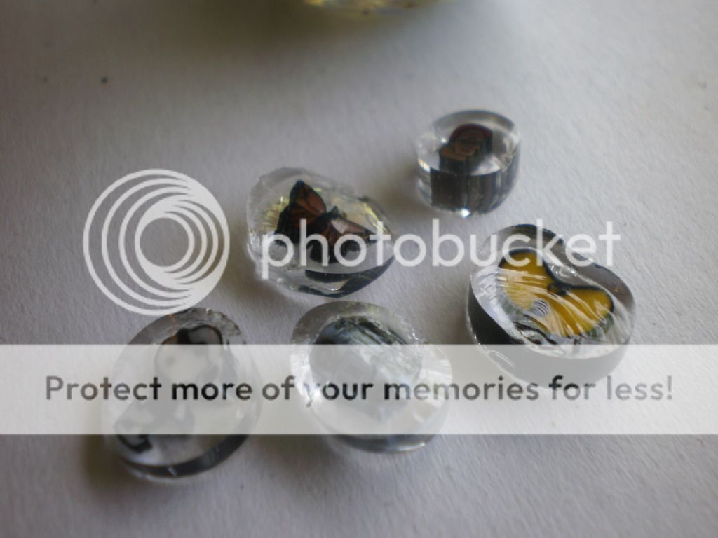 Posted Image