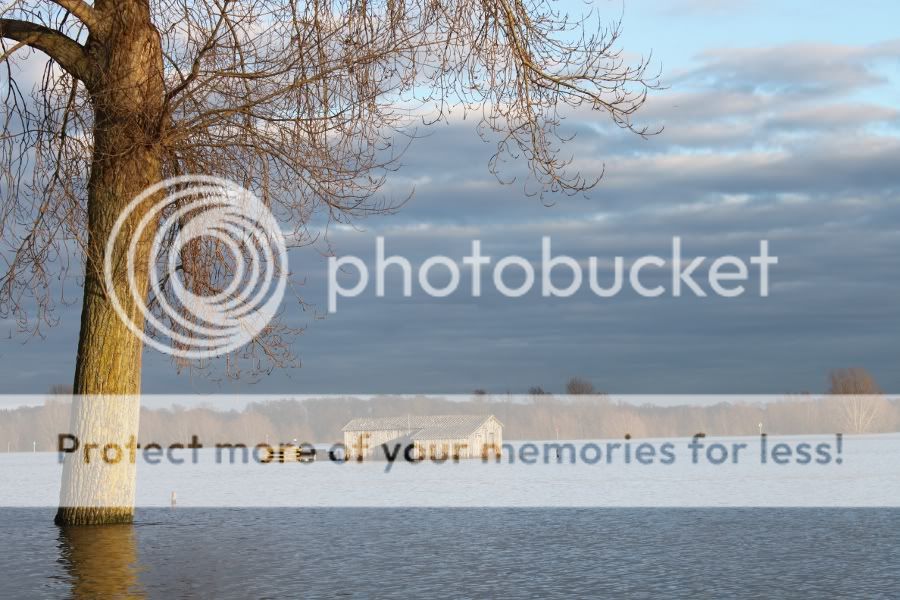 Fotografie