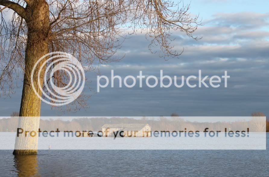Fotografie