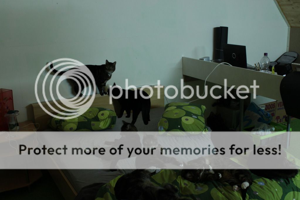 Fotografie