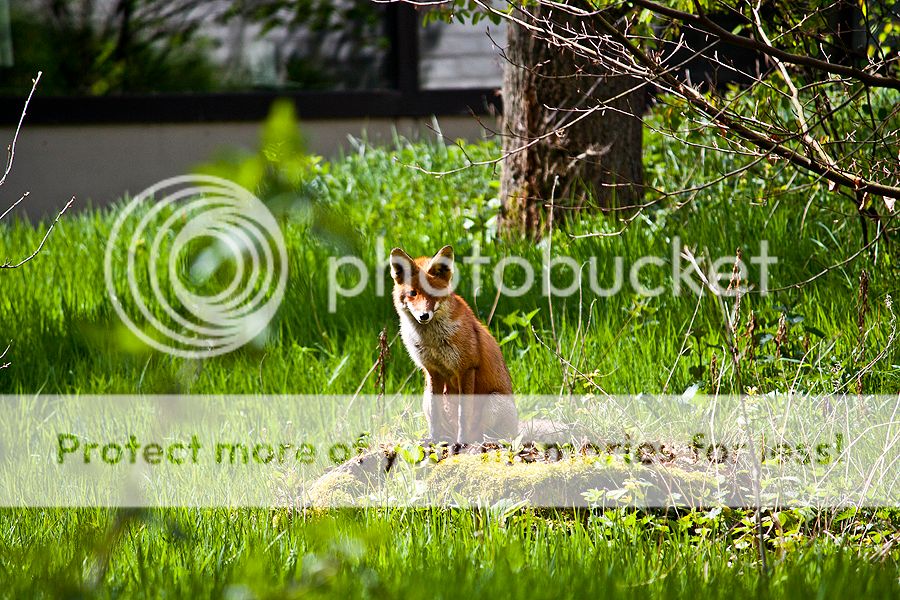 Fotografie