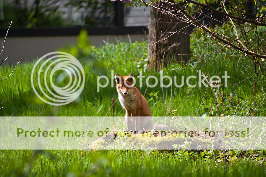 Fotografie