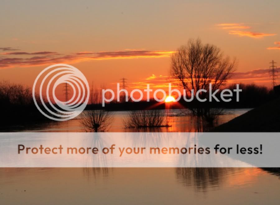 Fotografie