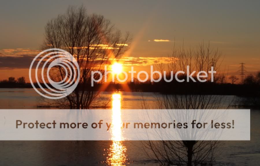 Fotografie
