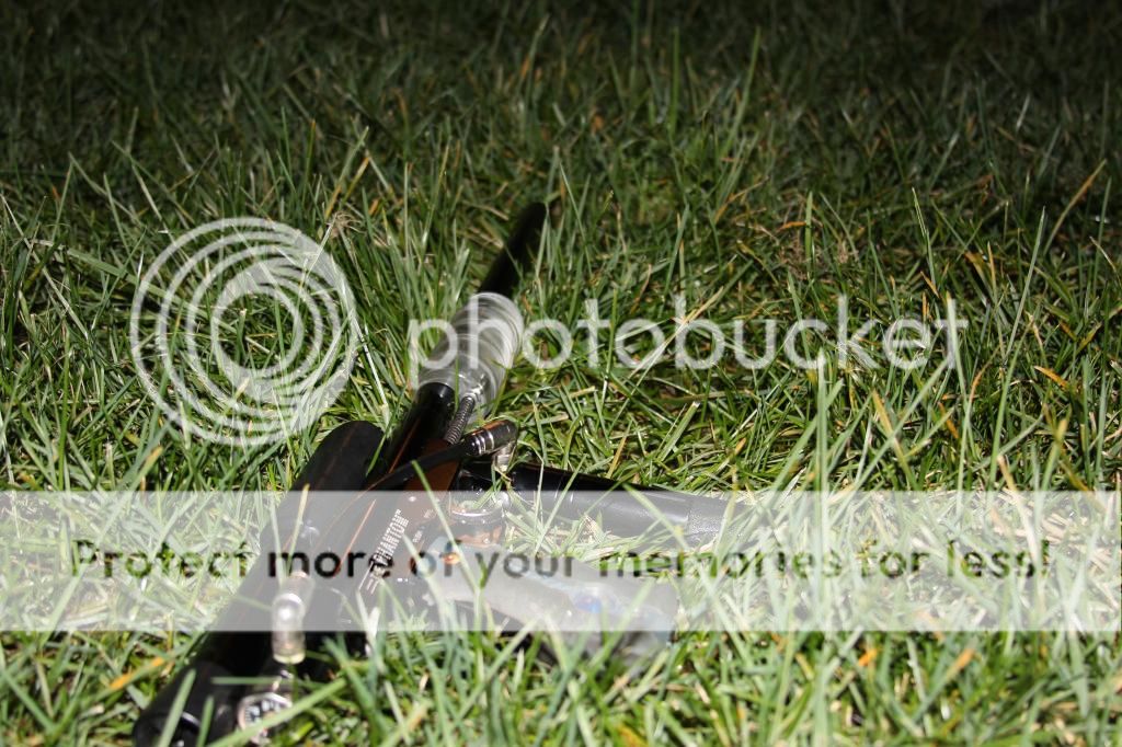 Posted Image