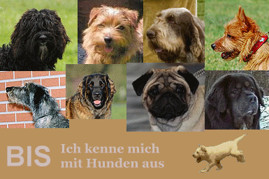  photo Banner_Fertig_1_2.gif