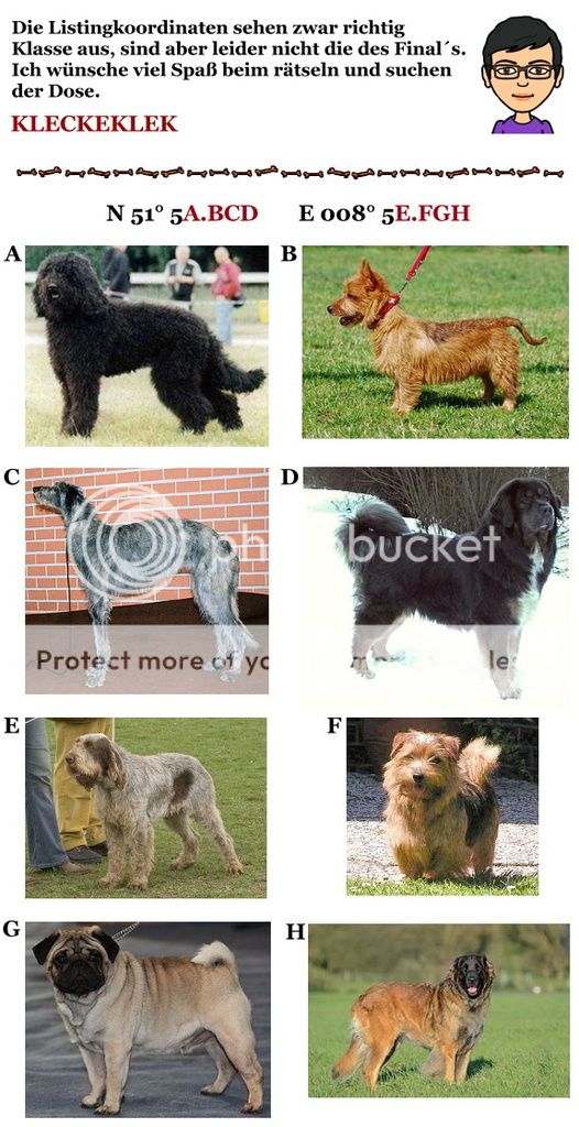  photo Listing_Hunde_1.jpg